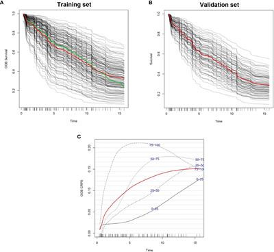 Personally Tailored Survival Prediction of Patients With Follicular Lymphoma Using Machine Learning Transcriptome-Based Models